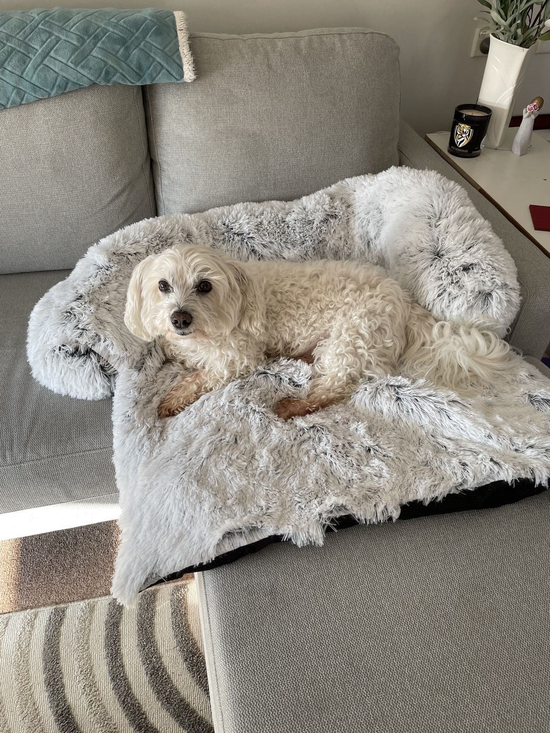 Calming Sofa Dog Bed