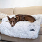 Calming Sofa Dog Bed
