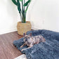 Calming Sofa Dog Bed