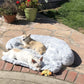 Calming Sofa Dog Bed